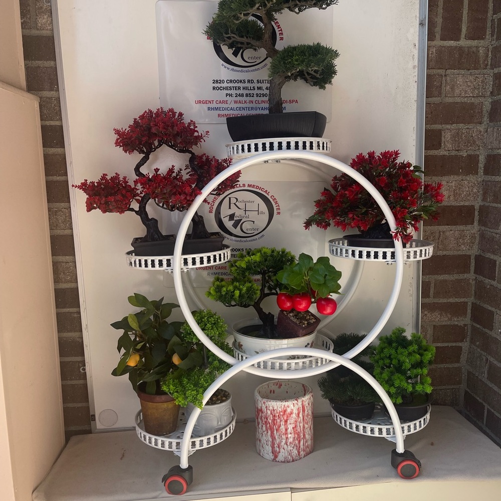 White Circular Plant Stand with Potted Plants
